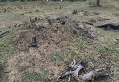 MPMS investiga incêndios florestais no Pantanal sem autorização ambiental
