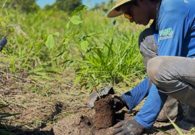 Serra da Bodoquena: MS Pantanal reforça a restauração ambiental