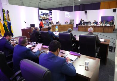 Dourados: Câmara analisa projeto que reconhece trabalho de protetores de animais