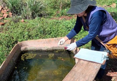 Dourados registra quarta morte por chikungunya nas aldeias e Prefeitura alerta para o avanço da doença
