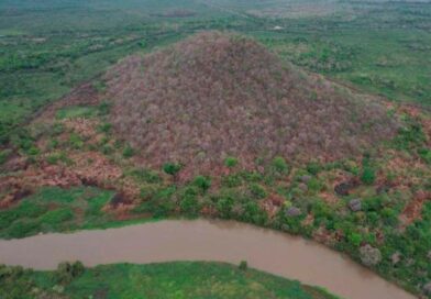 MPMS investiga incêndio que destruiu 20 hectares de vegetação nativa em APP do Pantanal