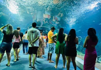 Bioparque Pantanal se prepara para sediar evento nacional de zoológicos e aquários