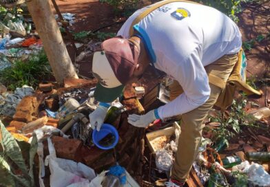 Dourados: Agentes de endemias vistoriam mais 1.349 imóveis e identificam 6 focos de Chikungunya