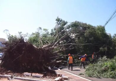 Tempestade devastadora: Campo Grande decreta situação de emergência