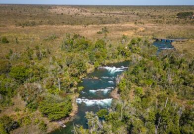 MPMS lança Unidade Ambiental do Pantanal e reforça proteção ambiental em Bonito