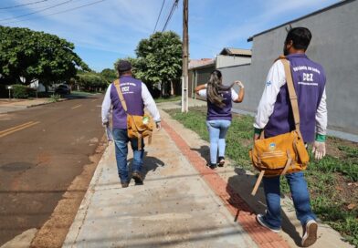 Com ações preventivas e campanhas, Dourados reduz os casos de Chikungunya