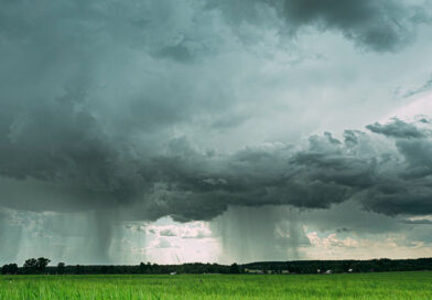 El Niño exige estratégias diferentes para a agropecuária nas cinco regiões do País