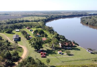 Parque Estadual do Rio Ivinhema lidera ranking nacional em listas de observação de aves